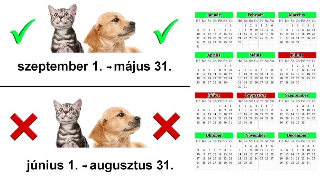 Vadaszles Vendeghaz Bukkszentmarton Экстерьер фото