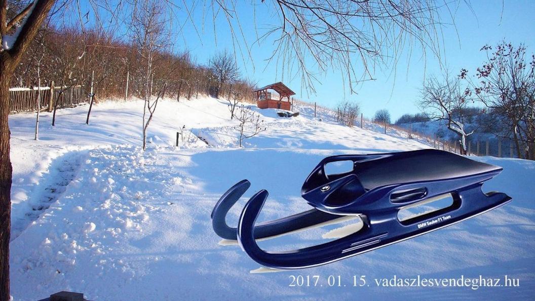 Vadaszles Vendeghaz Bukkszentmarton Экстерьер фото